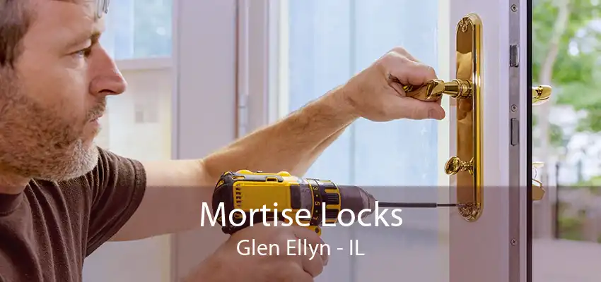 Mortise Locks Glen Ellyn - IL